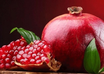 Përfitimet e shegës: Fruti që përmirëson zemrën, veshkat dhe trurin