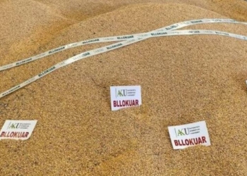 Shqipëria bllokon 25 ton misër me aflatoksinë që vinte nga Serbia