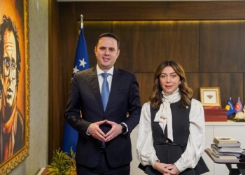 U anëtarësua në fushatë, sa vota mori Adelina Thaqi deri tash?