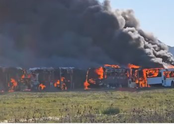 Bëhen ‘shkrumb e hi’ disa autobusë në një zonë parkimi në Durrës