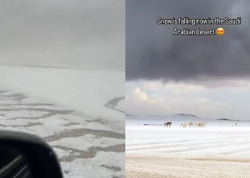 Shkretëtira arabe zbardhet nga bora – pamje të rralla