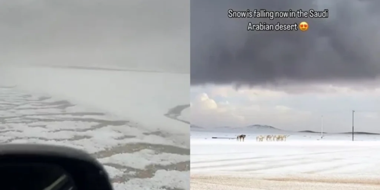 Shkretëtira arabe zbardhet nga bora – pamje të rralla