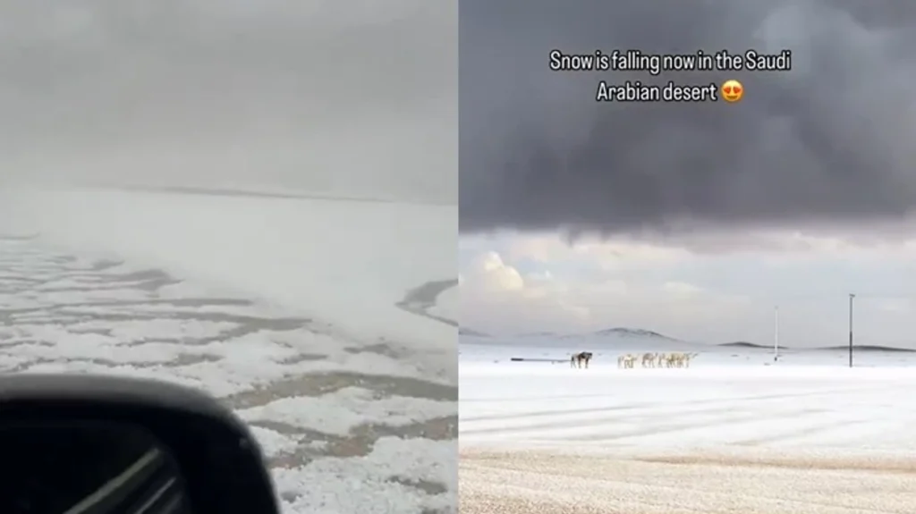 Shkretëtira arabe zbardhet nga bora – pamje të rralla