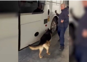 Kapen drogë, armë, bizhuteri dhe 29 mijë euro në Portin e Durrësit