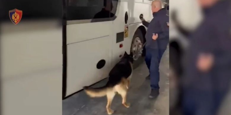 Kapen drogë, armë, bizhuteri dhe 29 mijë euro në Portin e Durrësit
