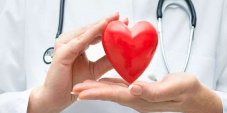 Inteligjenca artificiale transformon diagnostikimin e sëmundjeve të zemrës