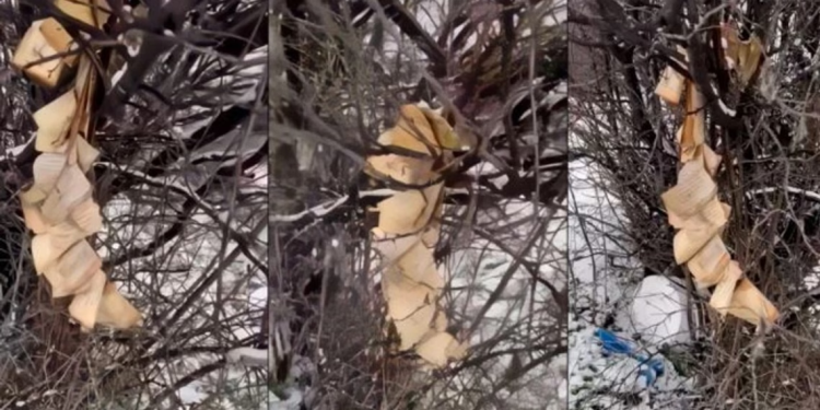 Dëmtohet Kurani në Gjakovë, policia nis hetimet