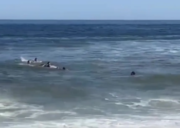 Ish-ylli i Premierligës dhe fëmijët e tij shpëtohen mrekullisht nga valët e rrezikshme në det