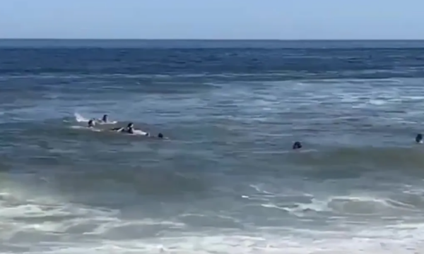 Ish-ylli i Premierligës dhe fëmijët e tij shpëtohen mrekullisht nga valët e rrezikshme në det