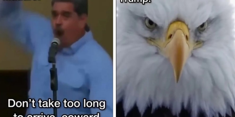 Pak muaj më parë e quajti frikacak, Donald Trump publikon videon ironizuese pas arrestimit të Nicolas Maduro