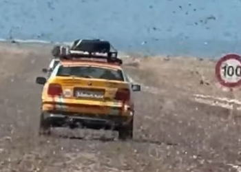 VIDEO/ Karkalecat “pushtojnë” shkretëtirën e Saharasë