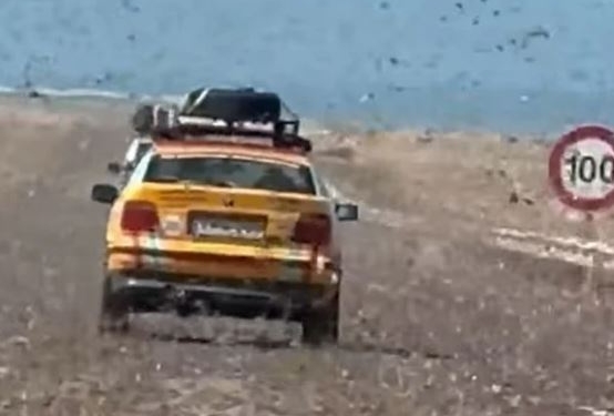 VIDEO/ Karkalecat “pushtojnë” shkretëtirën e Saharasë