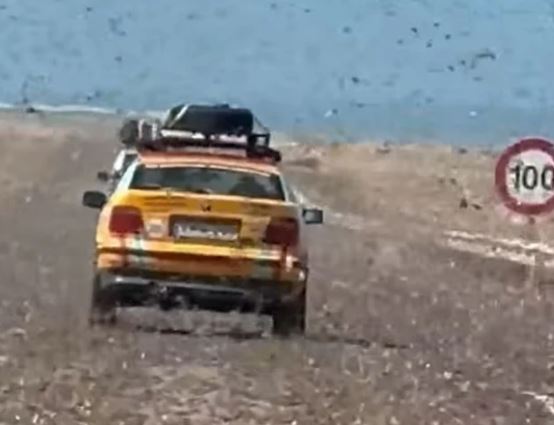 VIDEO/ Karkalecat “pushtojnë” shkretëtirën e Saharasë