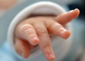 Bie numri i lindjeve në Kosovë, cili është ndikimi më i madh?