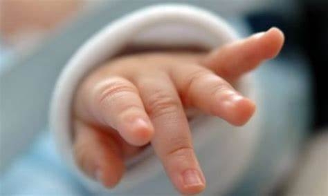 Bie numri i lindjeve në Kosovë, cili është ndikimi më i madh?