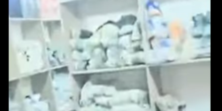 Dogana konfiskon mallra që dyshohet se janë të kontrabanduara, vlera rreth 800 mijë euro