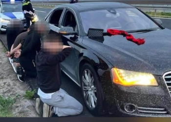 Tifozët shqiptarë që u arrestuan në Serbi dalin nesër para gjykatës