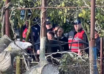 Vrau bashkëshorten dhe më pas veten, publikohet fotoja e çiftit nga Fieri