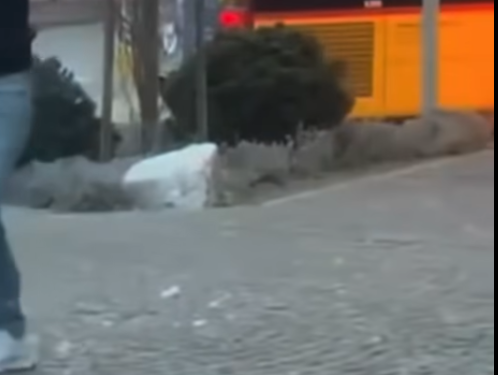 “O nuk e di bre, një…” – në momentin e djegies së autobusit në Zvicër dikush dërgjohet duke folur shqip