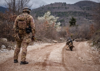 KFOR zhvilloi patrulla këmbësorie me mbështetjen e njësive K9