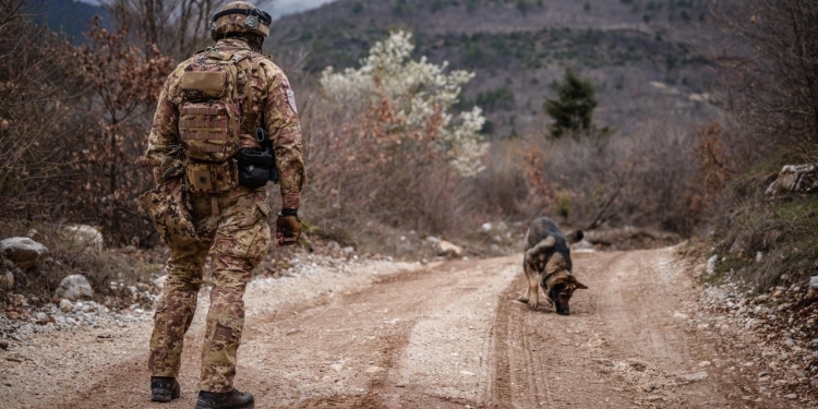 KFOR zhvilloi patrulla këmbësorie me mbështetjen e njësive K9