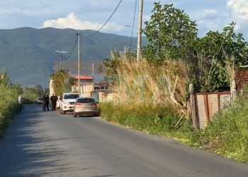 E rëndë: Vritet me plumb në kokë shqiptari në Greqi, gjendet në një stallë lopësh