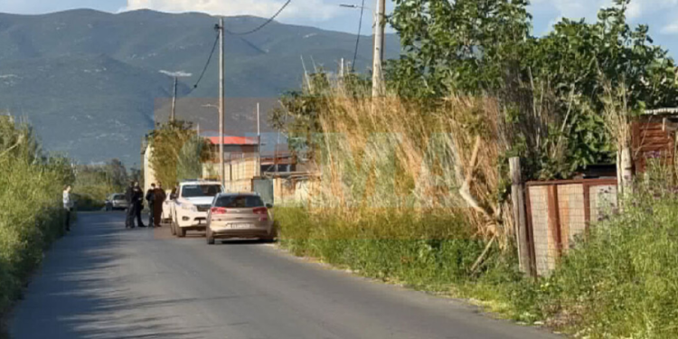 E rëndë: Vritet me plumb në kokë shqiptari në Greqi, gjendet në një stallë lopësh