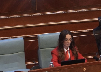 Jashari e PDK’së: Veprimet e deritanishme të Kurtit,më shumë çojnë në zgjedhje se në zgjidhje