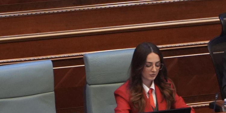 Jashari e PDK’së: Veprimet e deritanishme të Kurtit,më shumë çojnë në zgjedhje se në zgjidhje