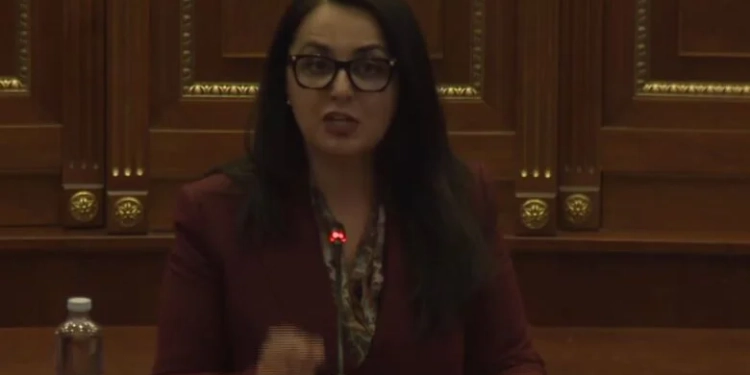 LDK-ja nuk voton: Mos i kaloni ligjet pa debate, mos impononi agjenda