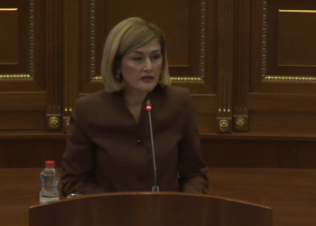 Projektligji për çmimin tavan, Kusari-Lila: I përcakton çmimet vetëm për 14 produkte dhe në situata të destabilizimit të tregut