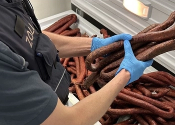 Dogana e Shtutgartit konfiskon 250 kg suxhuk në autobusin që vinte nga Kosova