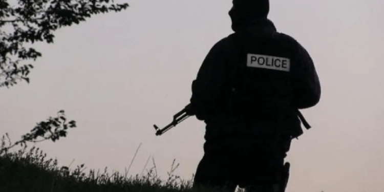 Dy shtetas të huaj ndalohen në Zubin Potok për hyrje ilegale në Kosovë