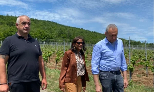 Prattipati në veri, takohet me kryetarët e komunave e përfaqësues të tjerë