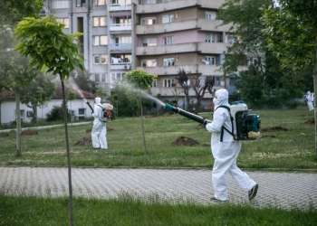 Prishtina nis fazën e dytë të dezinsektimit më 15 qershor