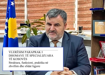 Avokati i Popullit jep detajet nga prezantimi në Hagë i raportit mbi funksionimin e DhSK-së dhe ZPS-së