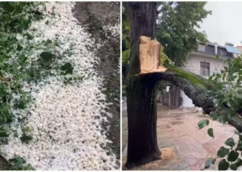Stuhi e fortë në Korçë, breshëri dëmton të mbjellat në Devoll, era rrëzon pemët në shesh
