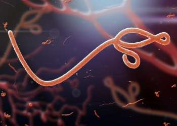 Ebola, alarm global për përhapjen/ Mbi 900 viktima në Kongo