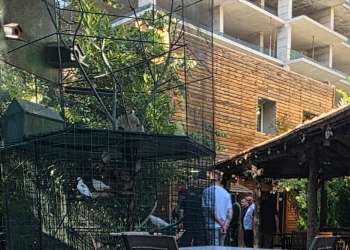 Takim në fshehtësi të plotë ku ndalohen edhe fotot: Vjosa Osmani në takim me delegatët e LDK-së që kërkojnë shkarkimin e Lumir Abdixhikut
