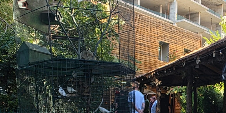 Takim në fshehtësi të plotë ku ndalohen edhe fotot: Vjosa Osmani në takim me delegatët e LDK-së që kërkojnë shkarkimin e Lumir Abdixhikut