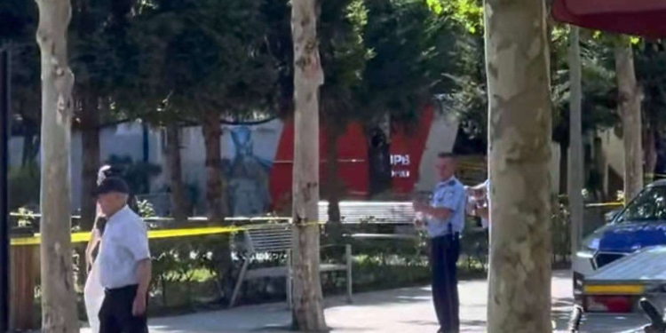 “I hodhi vetes benzinë dhe kërcënoi policët” – detaje të reja për 16-vjeçarin që plagosi dy persona në Ferizaj – i arrestohet edhe nëna