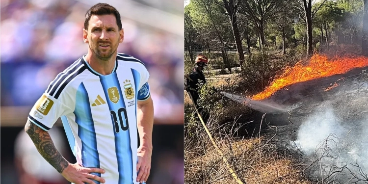 Messi i del në ndihmë Madridit pas zjarreve shkatërruese me një shumë të konsiderueshme