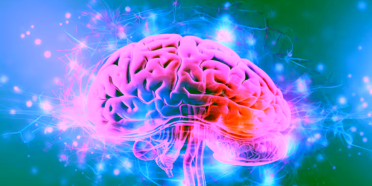 Zbulohen mbi 1,000 mikroproteina të “fshehura” në trurin njerëzor – disa shfaqin ndryshime te Alzheimeri
