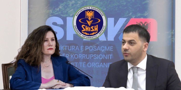 “Flej rehat zemër, krejt radarët e shtetit i mbyll për ty”- Zbulohen mesazhe të reja mes Vlora Hysenit me biznesmenin