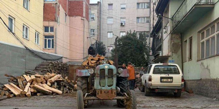 Kontrolle për prerjet ilegale në Ferizaj e Shtërpcë, konfiskohen dru të transportuara me tre mjete