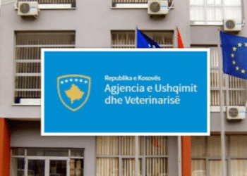 AUV ndalon përdorimin dhe tregtimin e mbi 5 tonëve misër me origjinë nga Serbia