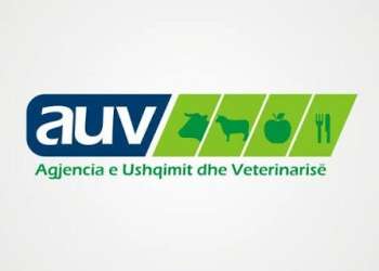Këto janë tri kompanitë që importuan misër nga Serbia me aflatoksinë mbi kufijtë e lejuar